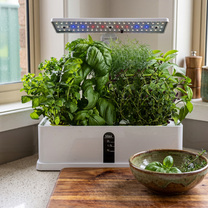 Somu™ Fresh Pick LED Herb Garden