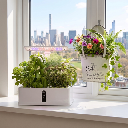 Somu™ Grow & Display Duo