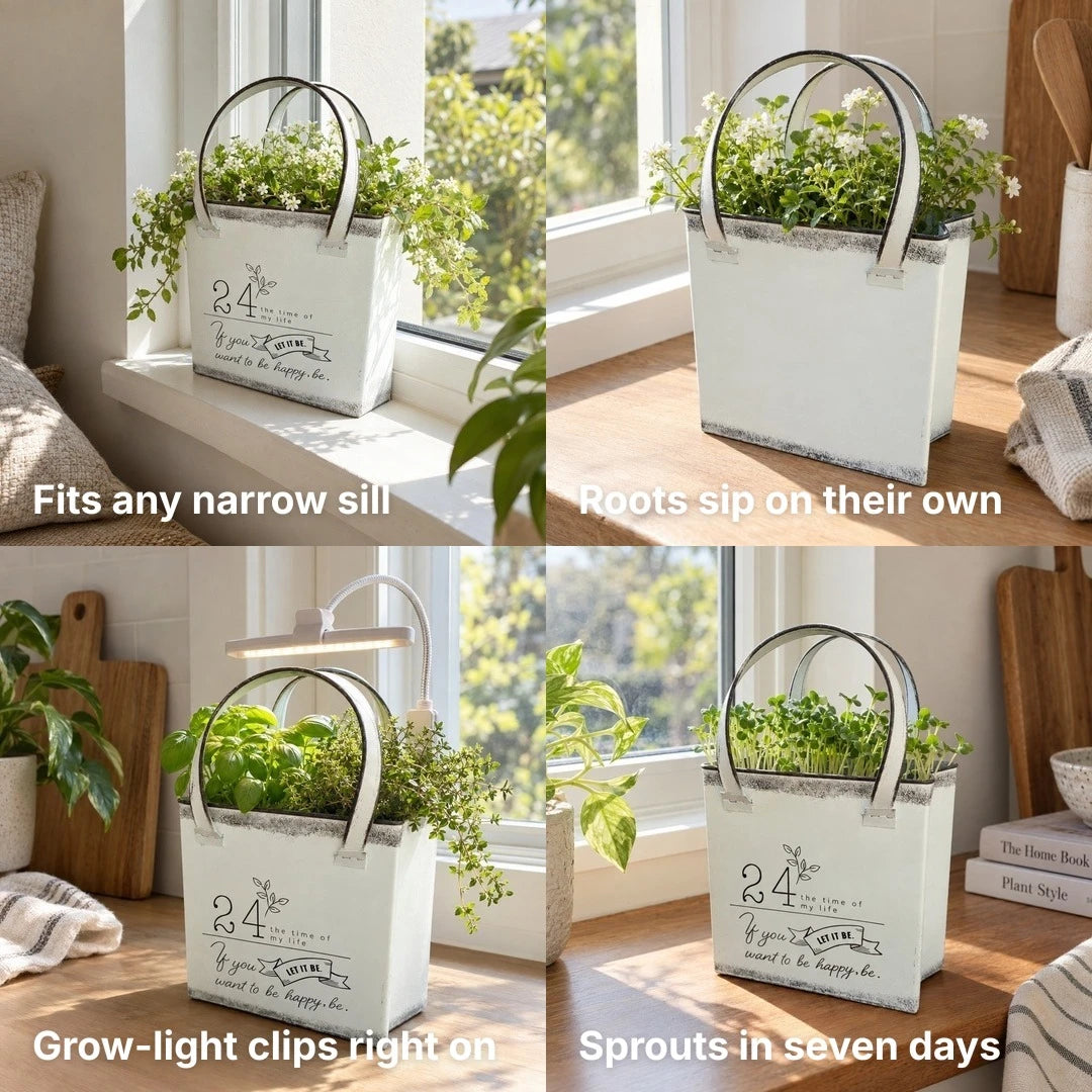 Somu™ Bright Sill Grow Planter